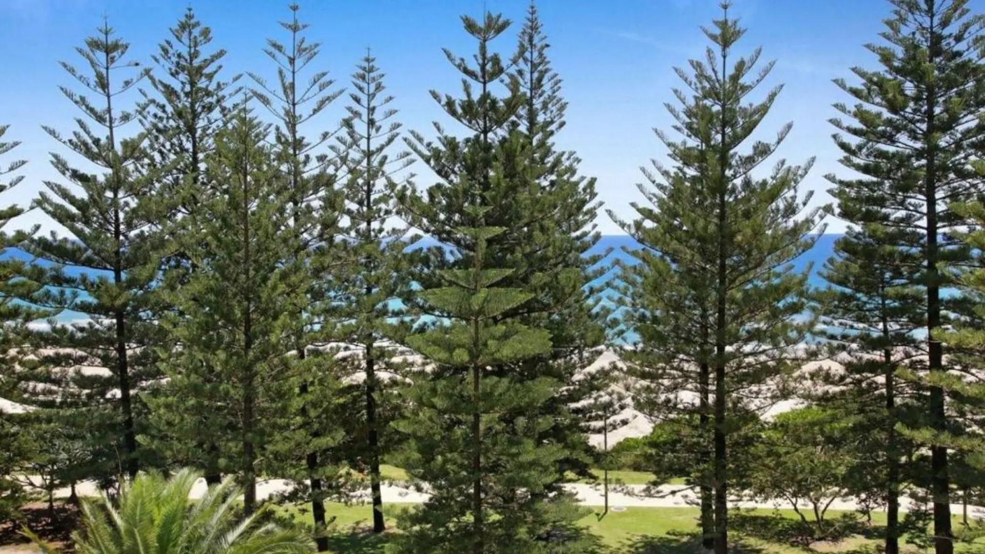 Ocean Front Breeze At Cashelmara Apartment Gold Coast